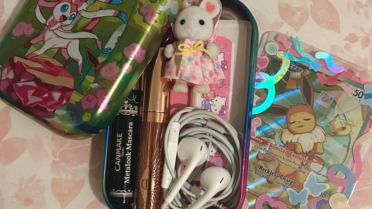 Pokémon fans keep some seriously weird stuff in their TCG boxes